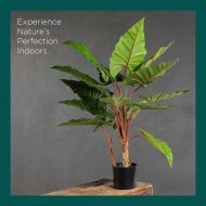 HouzeComfort Artificial Alocasia Elephant Ear Plant 80cm - Image 4