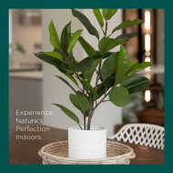 HouzeComfort Artificial Ficus Elastica Plant 70cm - Image 4