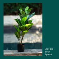 HouzeComfort Artificial Ficus Elastica Plant 70cm - Image 5