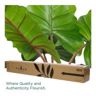 HouzeComfort Artificial Alocasia Elephant Ear Plant 80cm - Image 3