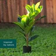 HouzeComfort Artificial Ficus Elastica Plant 70cm - Image 6