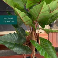 HouzeComfort Artificial Alocasia Elephant Ear Plant 80cm - Image 5