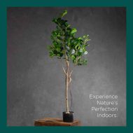 HouzeComfort Artificial Ficus Indoor and Outdoor Pot Plant Tree 150cm - Image 5