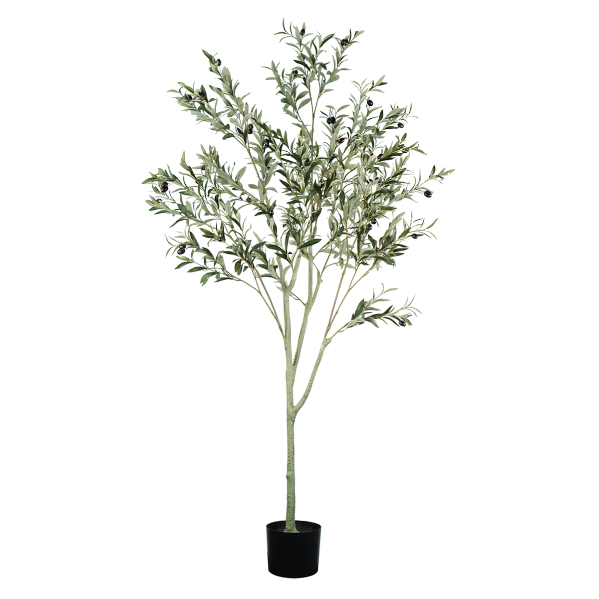 HC_LISTING-IMAGES_180CM-OLIVE-TREE.jpg HouzeComfort Artificial Olive Tree Plant 180cm - Image 1
