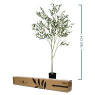 HouzeComfort Artificial Olive Tree Plant 180cm - Image 2