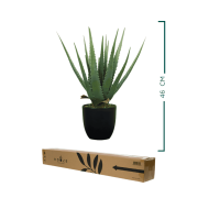 HouzeComfort Aloe Succulent Artificial Plant 46cm - Image 2