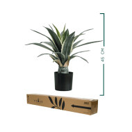 HouzeComfort Agave Succulent Artificial Plant 45cm - Image 2