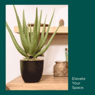 HouzeComfort Aloe Succulent Artificial Plant 46cm - Image 4