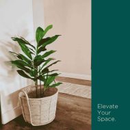 HouzeComfort Artificial Dracaena Indoor and Outdoor Pot Plant 125cm - Image 4