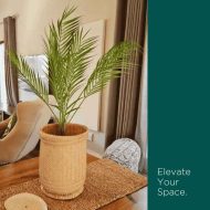 HouzeComfort Artificial Palm Tree Pot Plant Indoor and Outdoor 76cm - Image 4