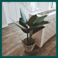 HouzeComfort Artificial Birds of Paradise Indoor and Outdoor Pot Plant - Image 3