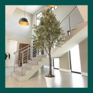 HouzeComfort Artificial Indoor and Outdoor Olive Tree 300cm - Image 5